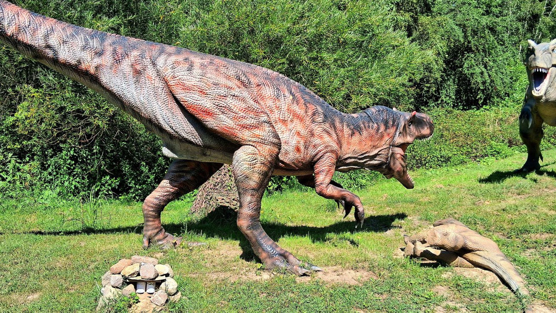 Dinosaurier aus dem Dinosaurierpark Rügen