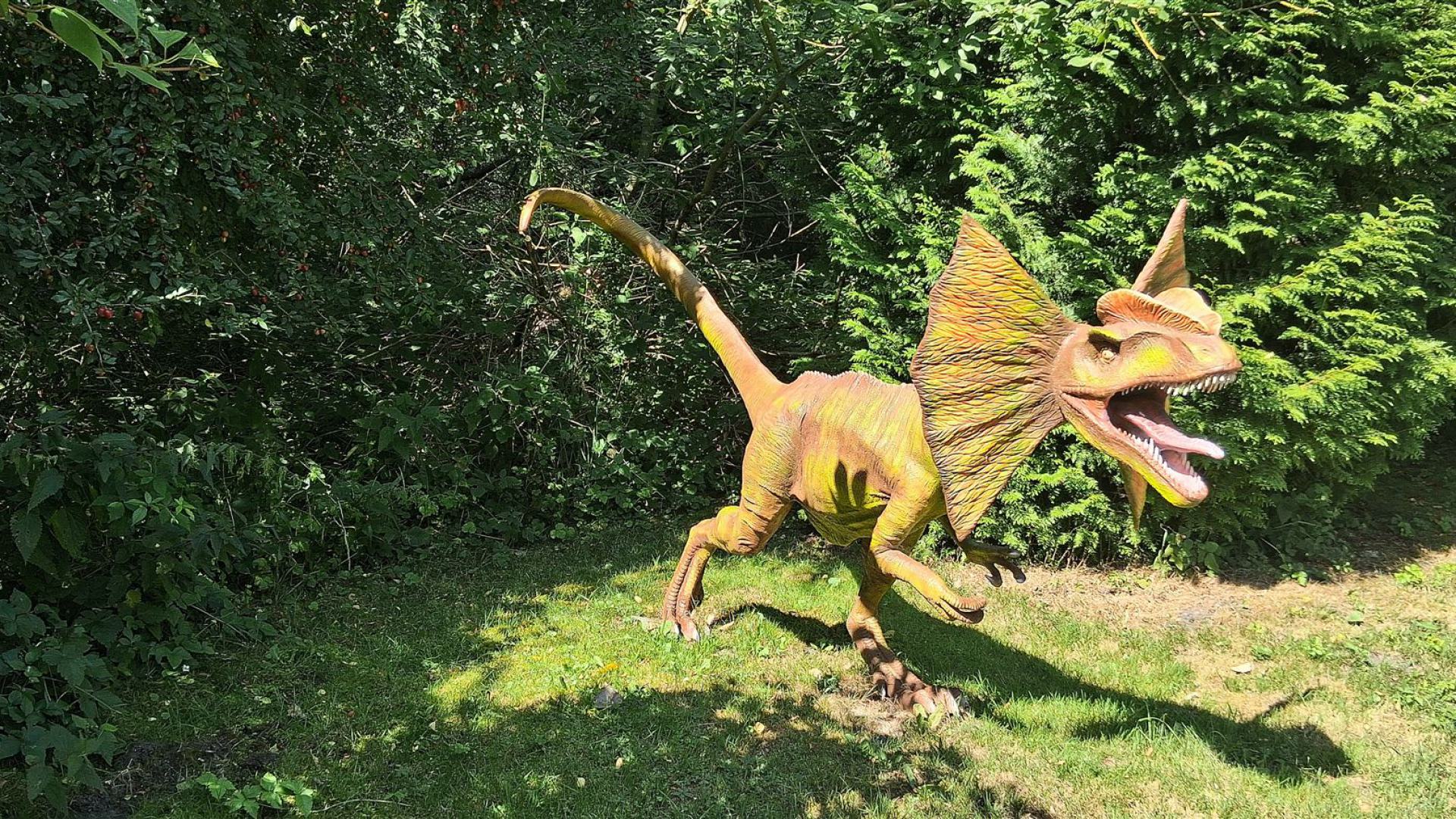 Dinosaurier aus dem Dinosaurierpark Rügen