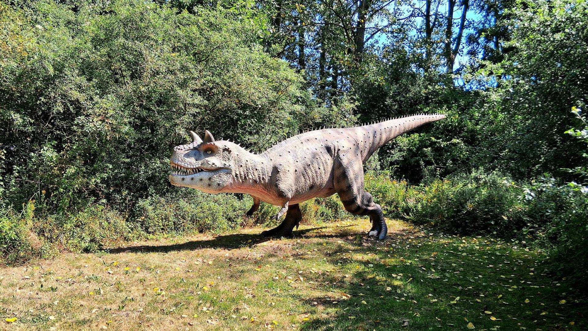 Dinosaurier aus dem Dinosaurierpark Rügen