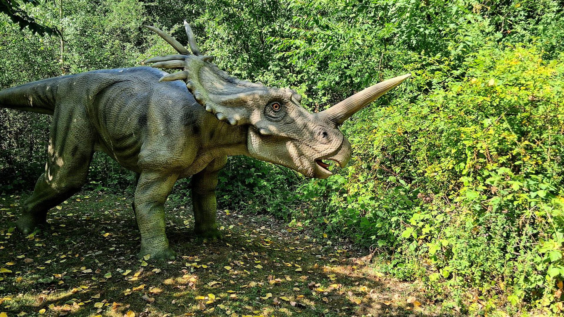 Dinosaurier aus dem Dinosaurierpark Rügen