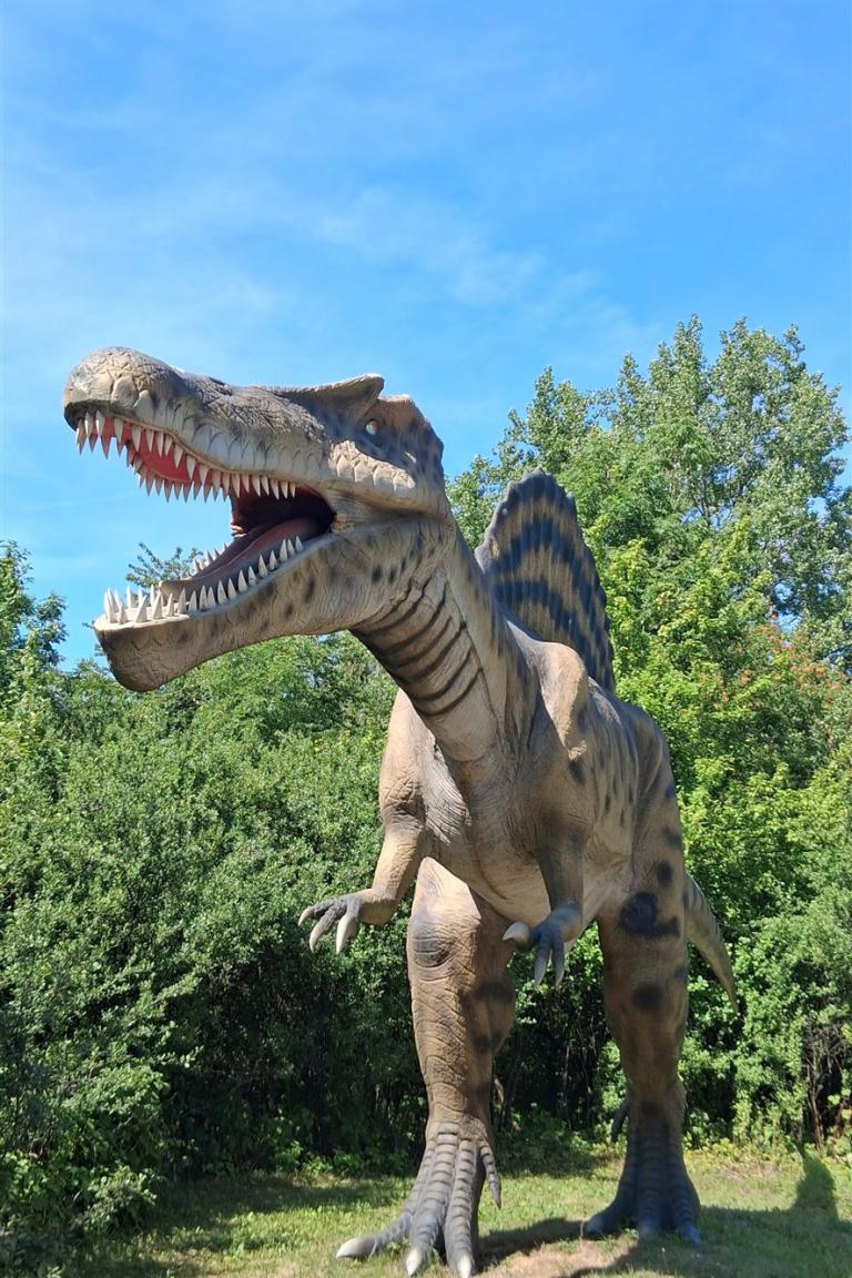 Dinosaurier aus dem Dinosaurierpark Rügen
