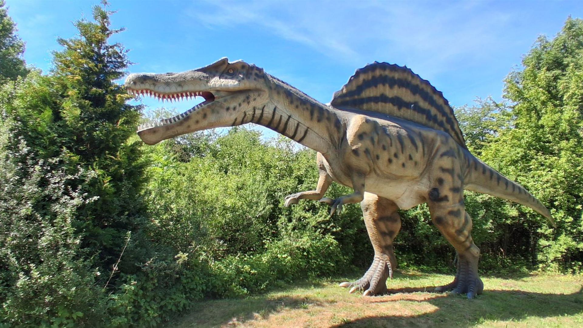 Dinosaurier aus dem Dinosaurierpark Rügen