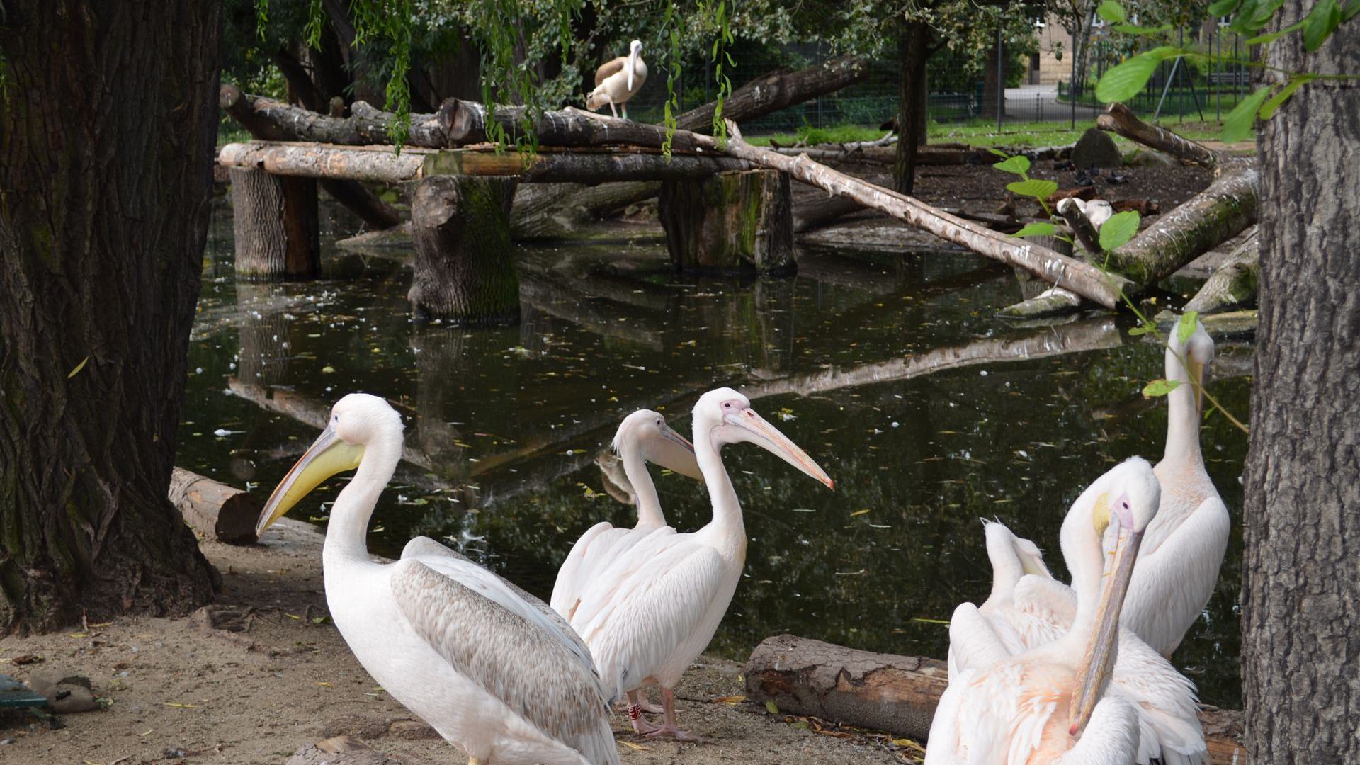 Tierpark Dresden