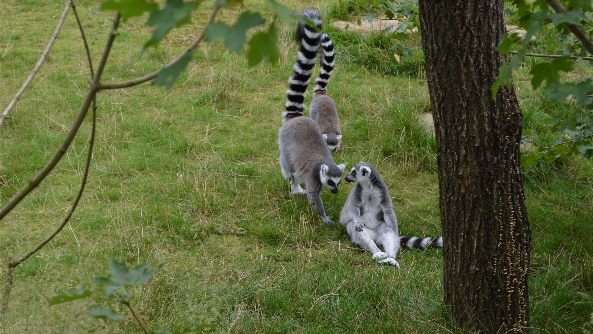 Tierpark Dresden