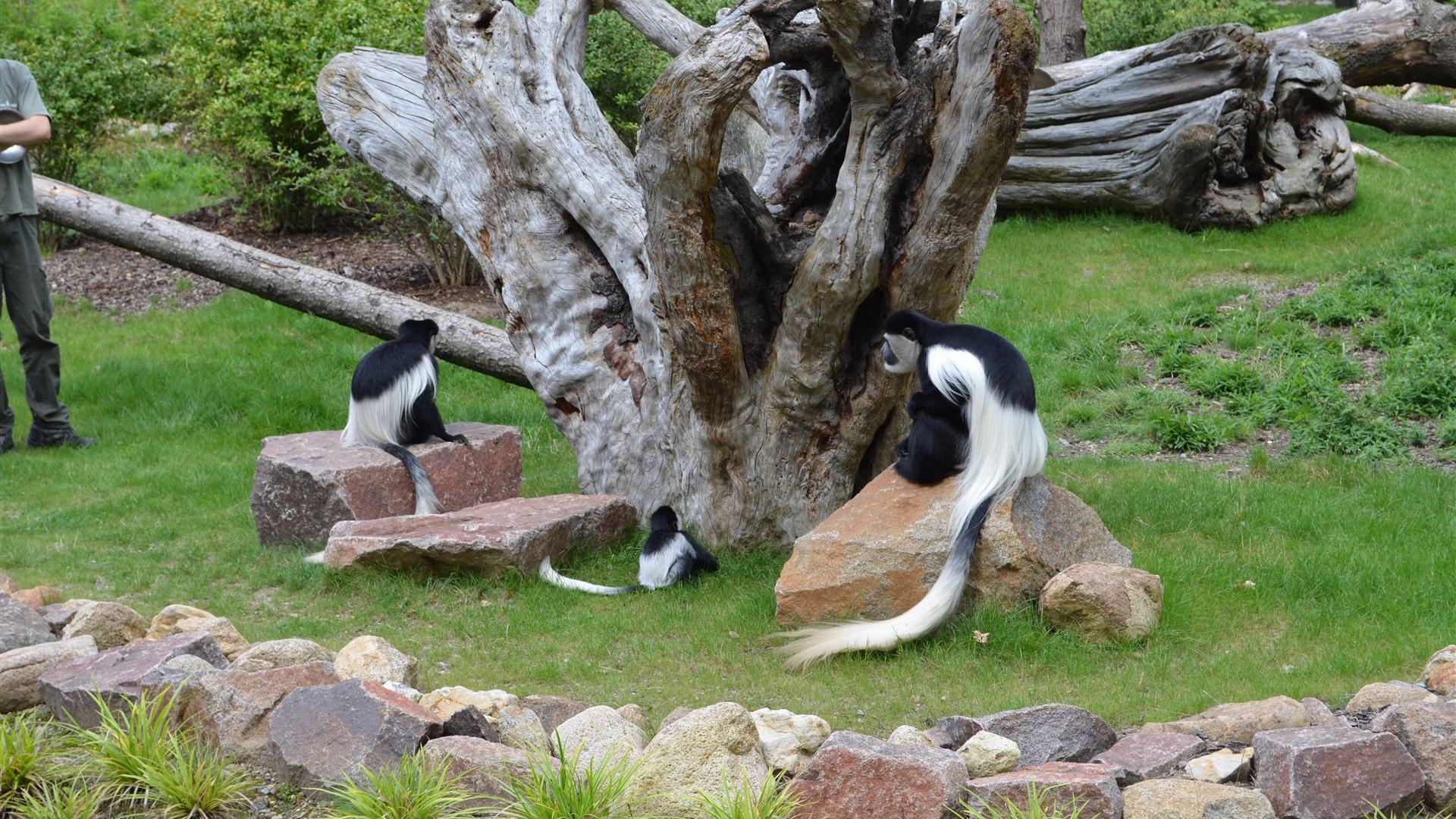 Tierpark Dresden