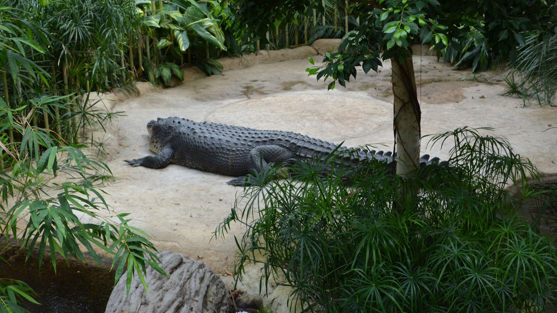 Tierpark Dresden