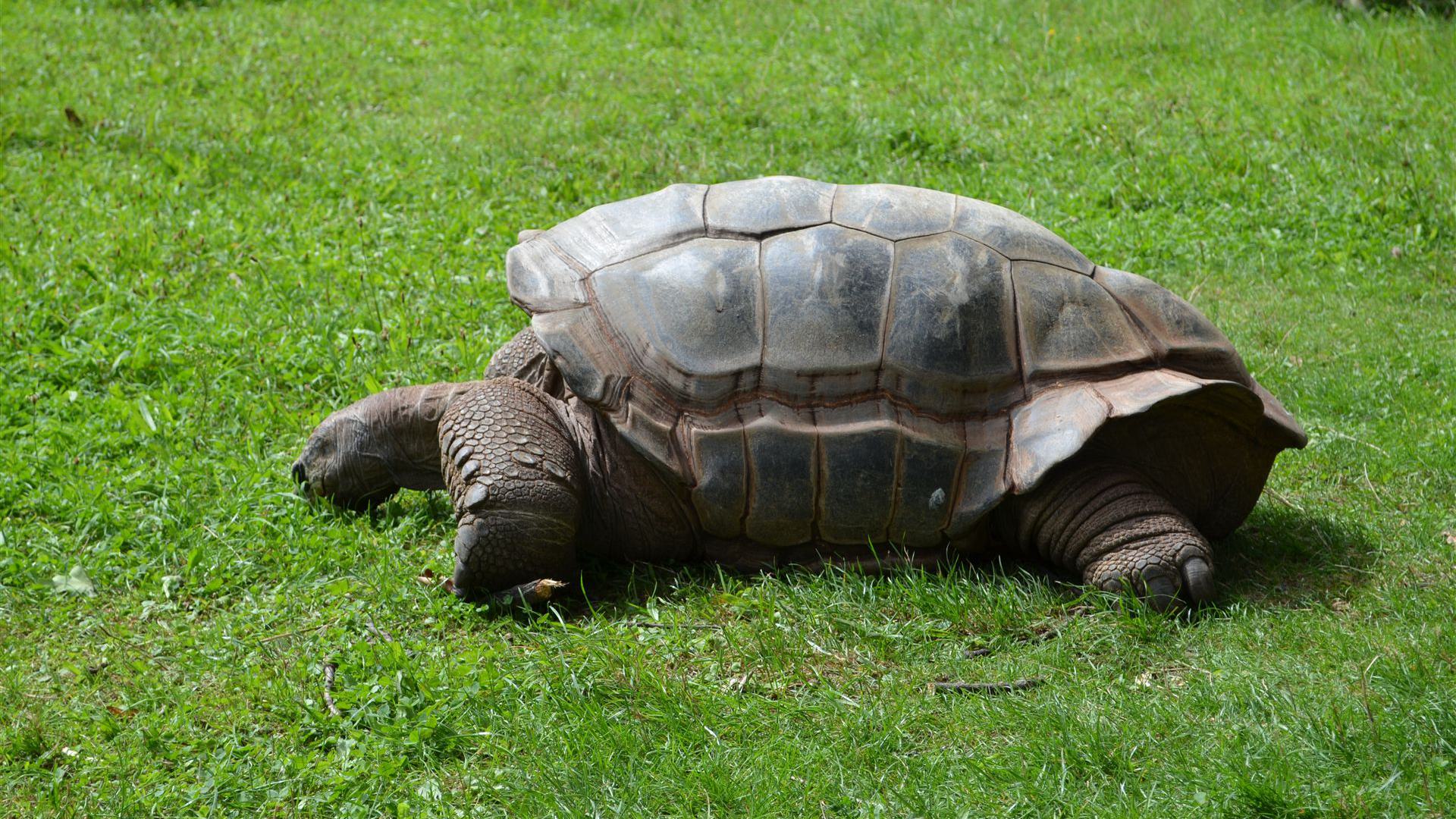 Tierpark Dresden