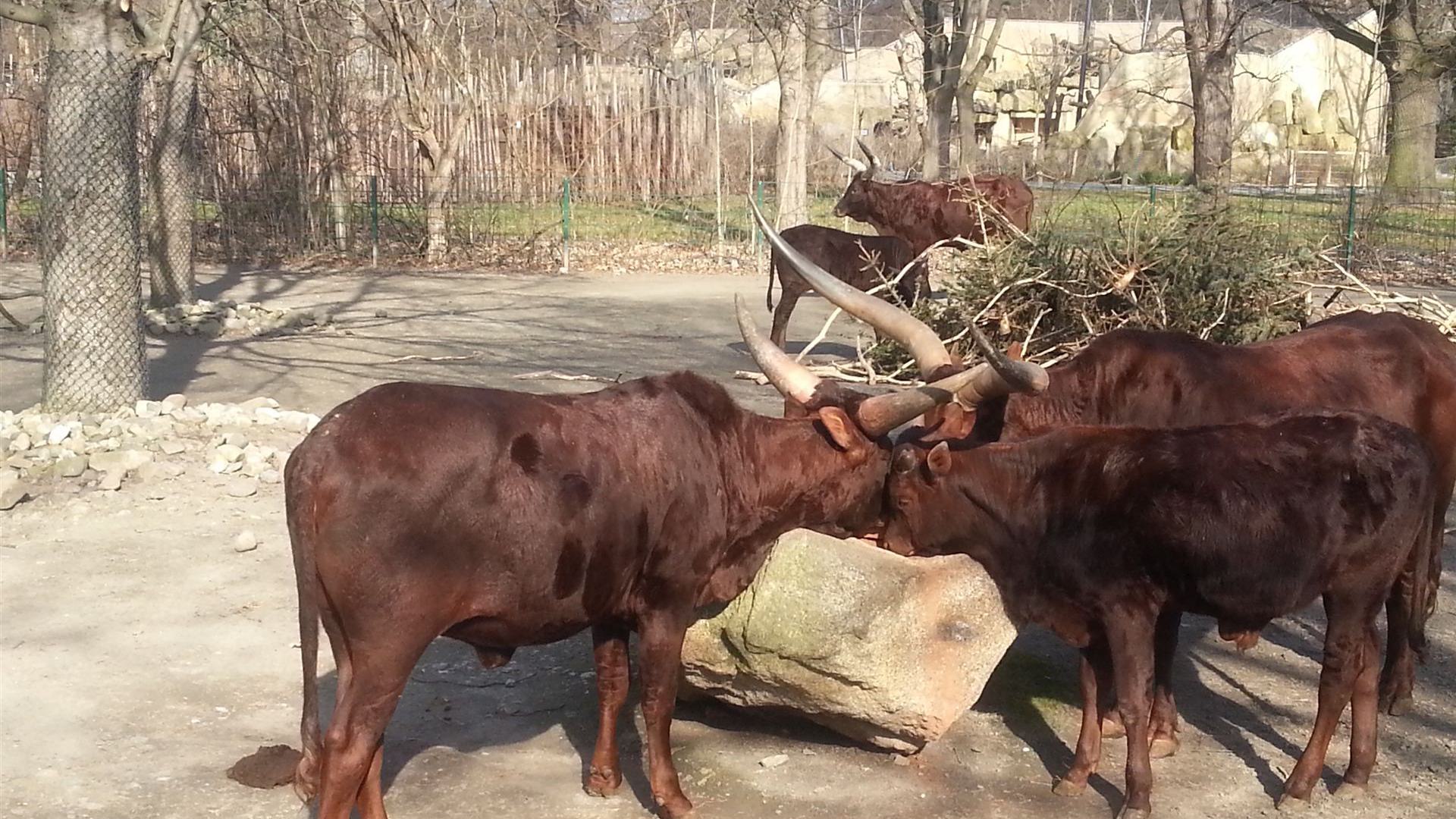 Tierpark Dresden
