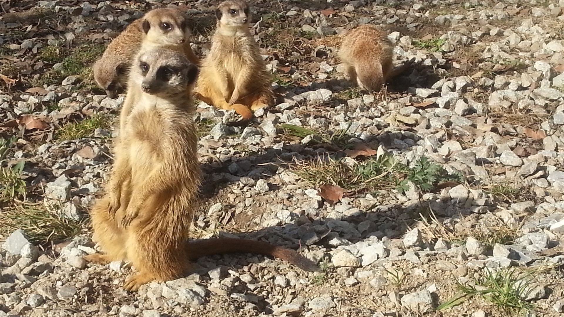 Tierpark Dresden